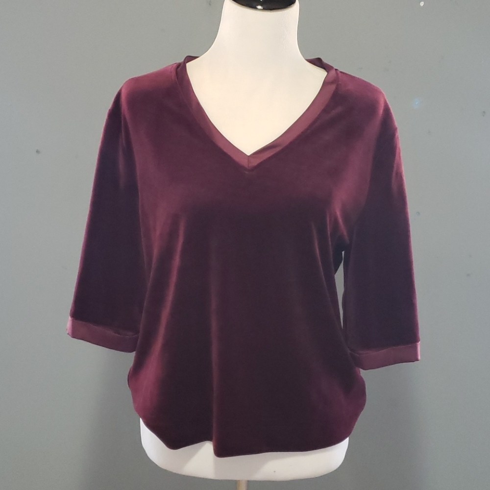 Velvet V Neck Top
